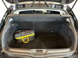 a trunk of a car with a bag in it
