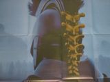une grande affiche représentant une femme avec une colonne vertébrale accrochée au mur