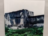 une image représentant une photo en noir et blanc d'un bâtiment et d'un champ de plantes vertes