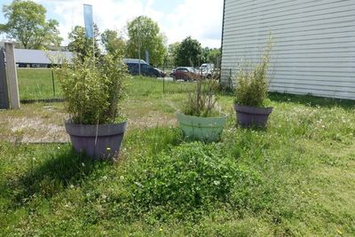 deux jardinières posées dans l'herbe