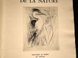 an image of a book with a drawing of a bird on it ' s cover