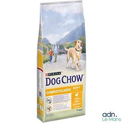 un gros plan d'un sac de croquettes pour chien sur fond blanc