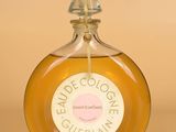 a close up of a bottle of perfume on a beige background