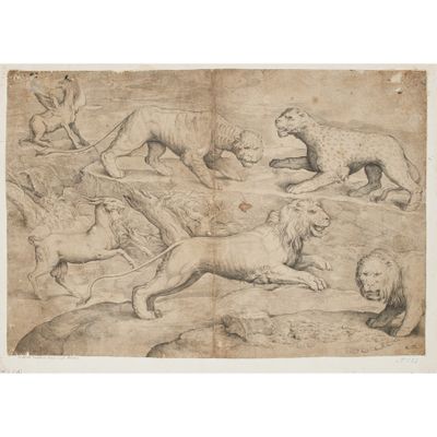 un dessin représentant un lion attaquant un autre lion dans un champ