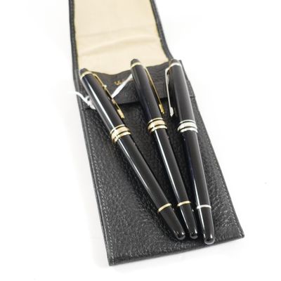 deux stylos dans un étui en cuir sur fond blanc