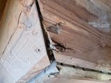 a picture of a rotten wood ceiling with a hole in it