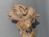 a close up of a piece of wood with a bird on it ' s head