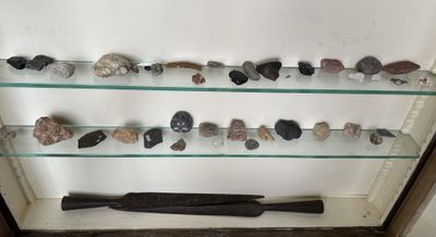 de nombreux types de roches exposés dans une vitrine