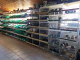a lot of shelves that have many different types of items on them