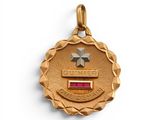 an image of a gold medal with a star on top of it