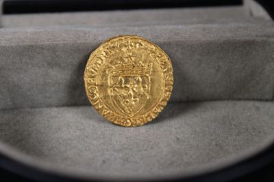 une image représentant une pièce d'or posée dans une boîte sur une table