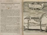 an old book with a drawing of a horse on it
