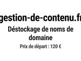Photo 1/1 du lot