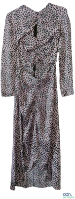 une image représentant une robe pour femme ornée d'un imprimé léopard
