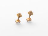 a pair of gold earrings on a white background