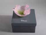 une fleur rose posée sur une boîte noire