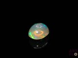 an oplite in the dark with a black background