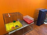two cages and a suitcase in a room