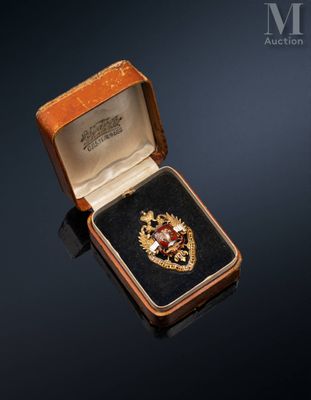 an image of a gold and red broochle in a case