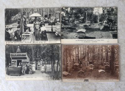 plusieurs vieilles photos en noir et blanc représentant des personnes dans un parc