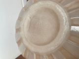 a person holding a plastic plate in their hand
