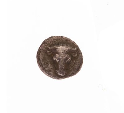 une image représentant une pièce de monnaie sur laquelle figure une tête de taureau