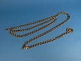 a close up of a gold chain with a medallion on it