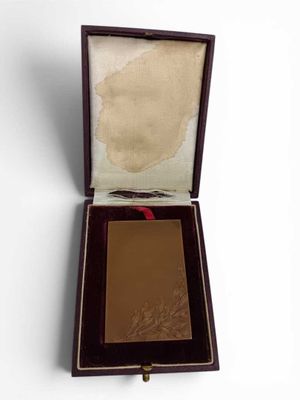 Médaille en bronze de Marianne, offert par Jules Siegried, d…