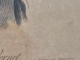 a drawing of a woman with long hair on a piece of paper