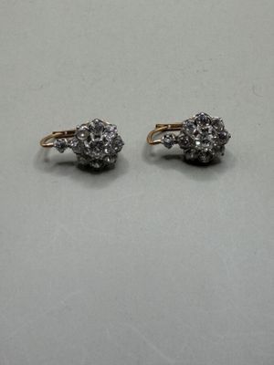 Paire de dormeuses en or rose et gris 750 millièmes, motifs … - Photo 1