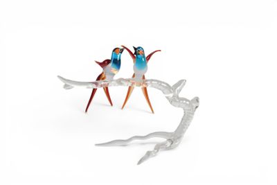 two birds sitting on a branch of a tree on a white background
