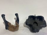 une paire de crânes en fonte noire sur fond blanc