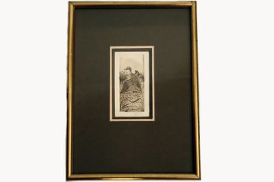 un dessin en noir et blanc représentant une femme en robe, dans un cadre doré