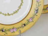 pair of yellow and pink china plates with floral designs on them