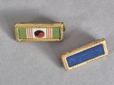 two small pins with a picture of a ladybird on them