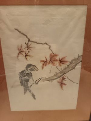 Ensemble de 13 estampes représentant des oiseaux et des pays…