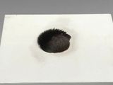 an image of a black and white box with a small animal inside of it