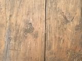 a cat that is sitting on the floor next to a wooden door