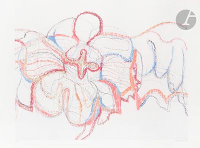 a drawing of a butterfly on a piece of paper