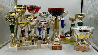 31 / CHA4 / Lot de coupes.