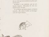 Photo 4/4 du lot