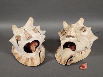 pair of seashells with open mouths and shells on a gray surface