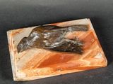 sculpture représentant un oiseau sur un bloc de marbre posé sur une surface noire