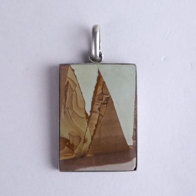 a picture of a pendant with a picture of a desert scene
