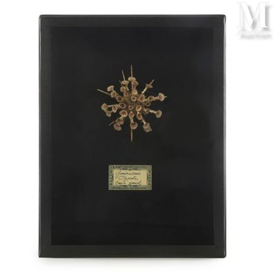 a black framed picture of a snowflake on a white background