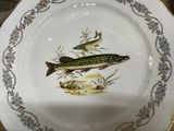 a plate with a fish on it on a table