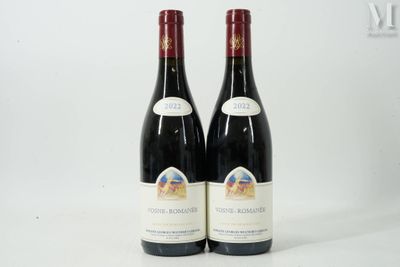 deux bouteilles de vin rouge posées l'une à côté de l'autre sur une surface blanche