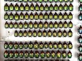a lot of beetles that are on display in a glass case