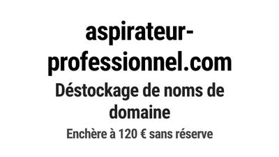 Nom de domaine aspirateur-professionnel.