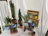de nombreuses plantes en pot posées sur une table recouverte d'une nappe blanche